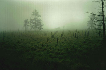 Solitude standing... - Kostenloses image #275881